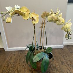 Potted Orchid Replica