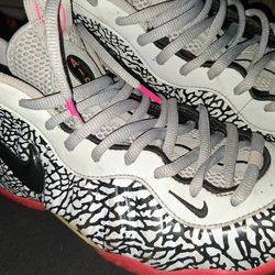 Elephant print foamposites Nike rare great condition size 11.5