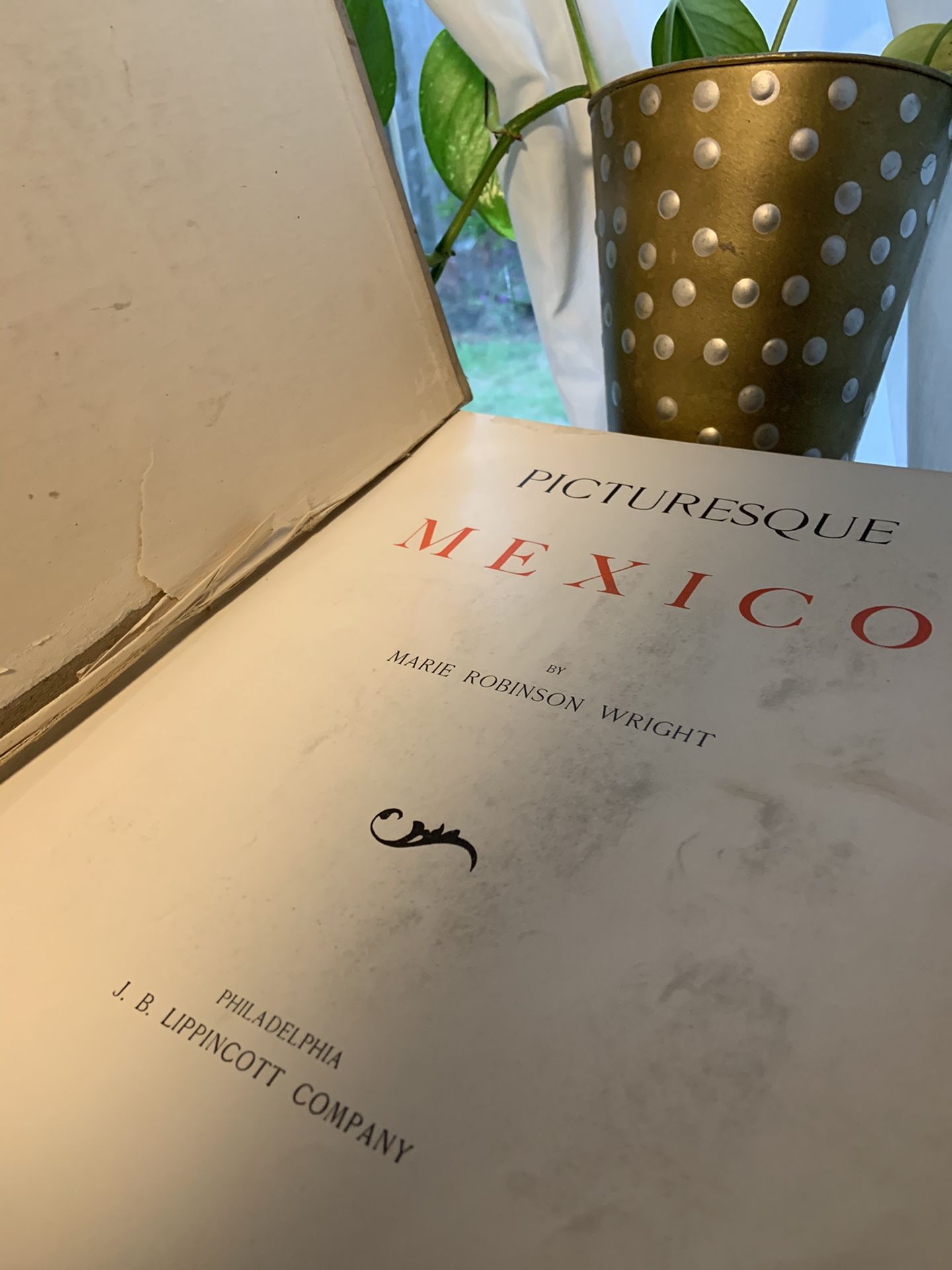 ‘Picturesque Mexico’ Book (1897)