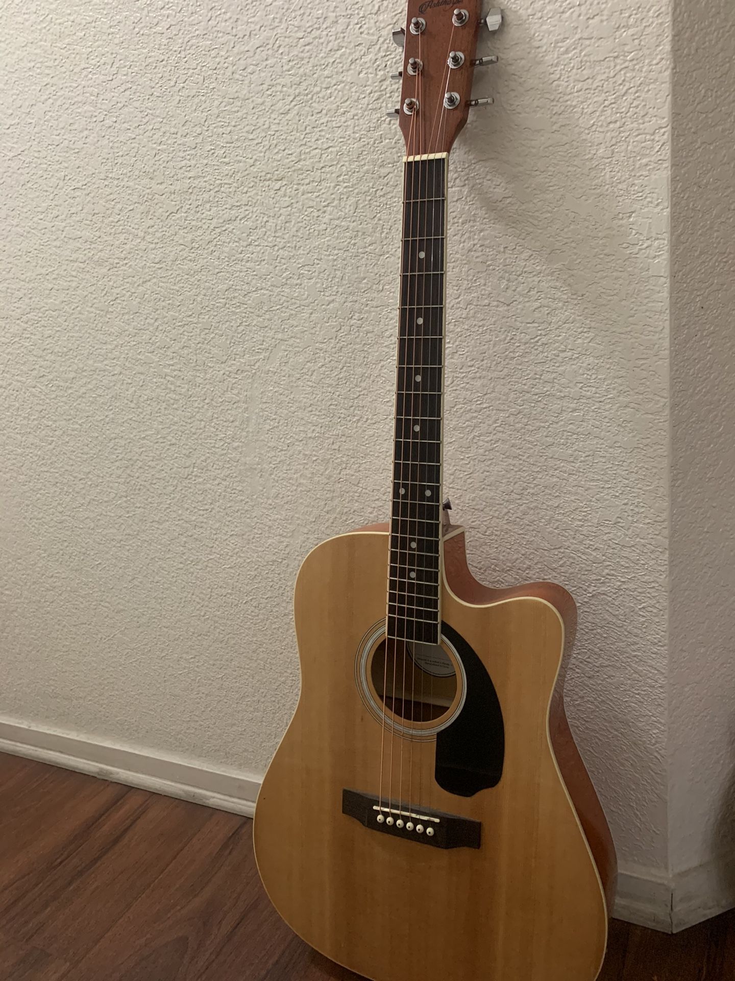 Electric Acoustic Guitar