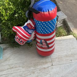 Boxing Bag 
