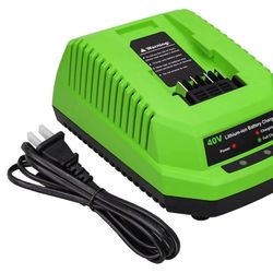 Greenworks 40V Lithium Ion Battery Charger 29482 Compatible with Greenworks 40V