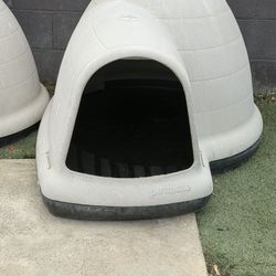 XL Igloo