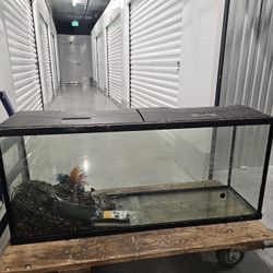60 Gallon Fish Tank 