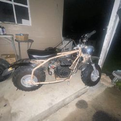 196cc Coleman Mini Bike Just Needs New Carb After Matter Thumb Throttle And torque converter