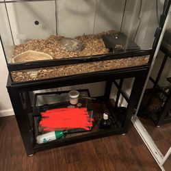 40gal Tank Reptile