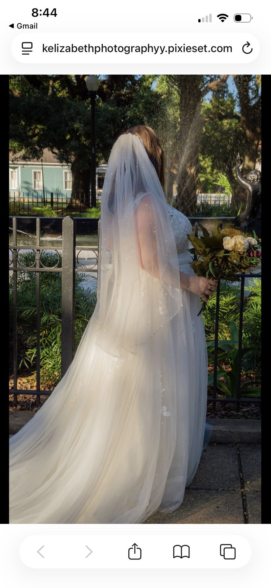 Wedding Dress And Veil