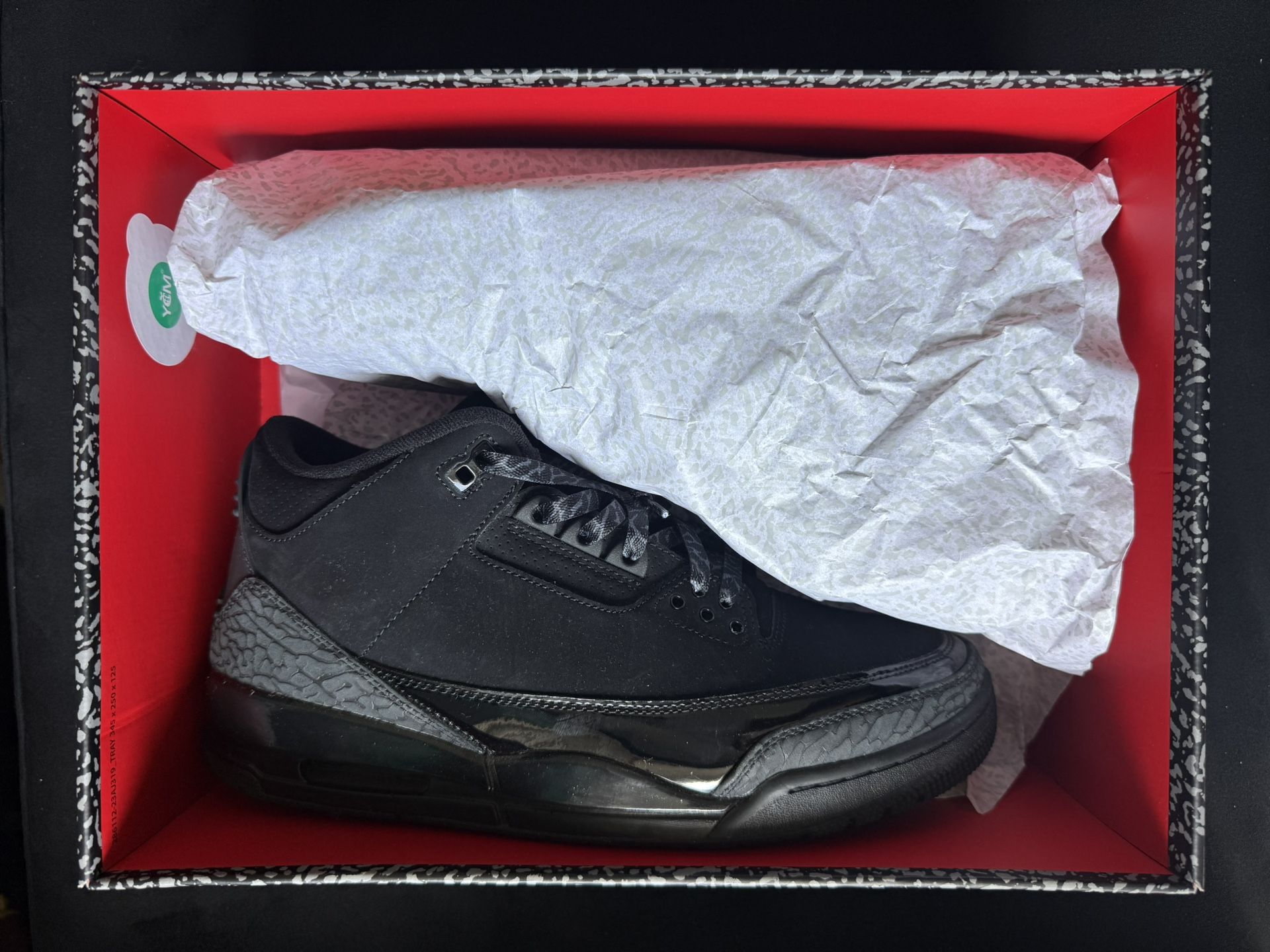 Jordan 3 Retro Black Cat