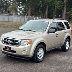 2010 FORD ESCAPE XLT