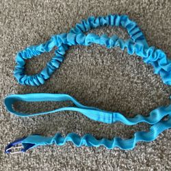 New Stretchy Leash