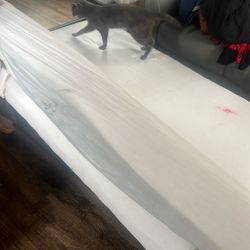 Foldable Futon 