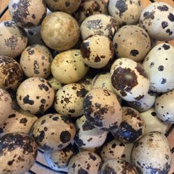 Organic Coternix Quail Eggs