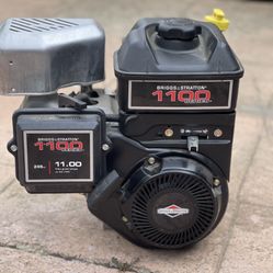 Briggs & Stratton 1100 Series Engine