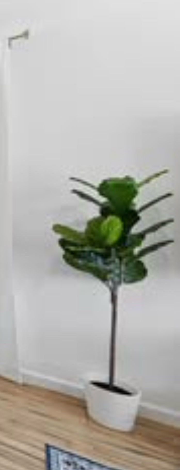Large Faux/Fake Fiddle Leaf Fig Plant in White Pot