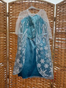 Frozen Else dress/ costume