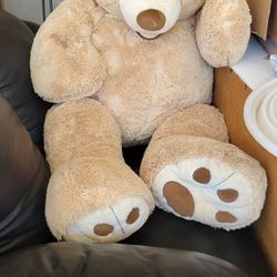Giant Teddy Bear Costco OFFER ME 