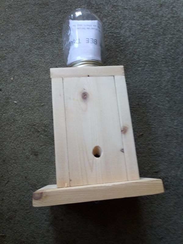 lowes carpenter bee trap