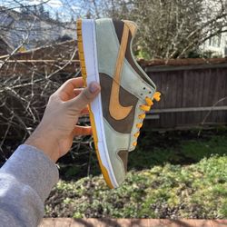 Nike Dunks 