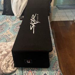 Dual 10 inch Skar subwoofer and box