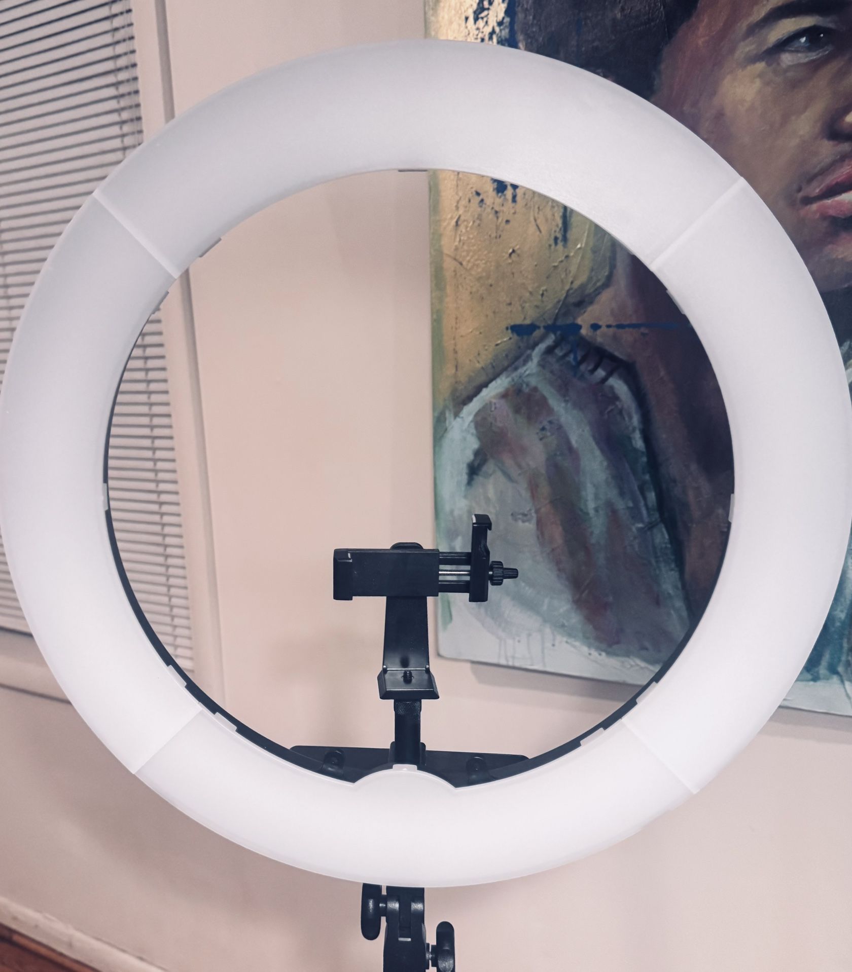 19-inch Ring Light