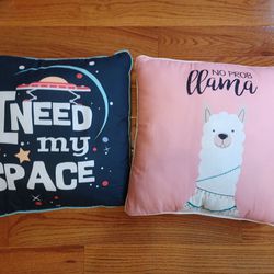 2 Medium Sized Decoration Kids Pillows