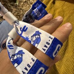 2 GA - Extra Innings Festival Tickets - SATURDAY ONLY 