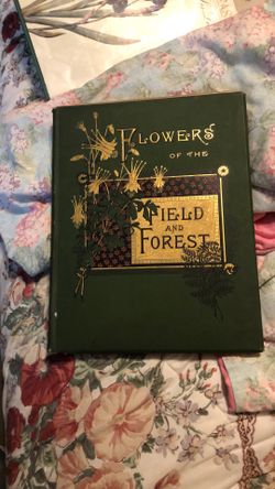 Vintage Book. Flowers Of The Field And Forest