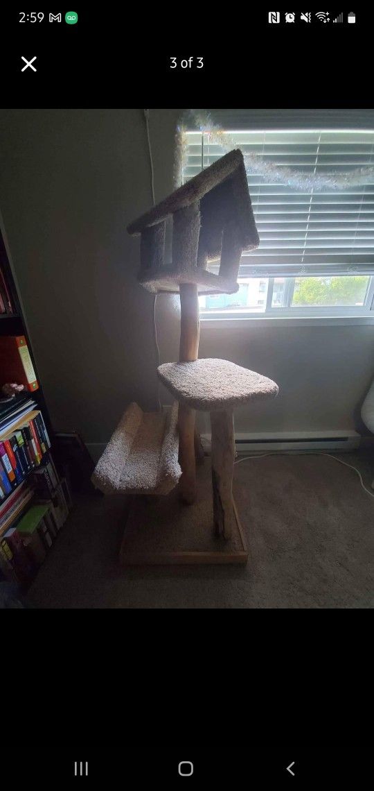Driftwood Cat Tree