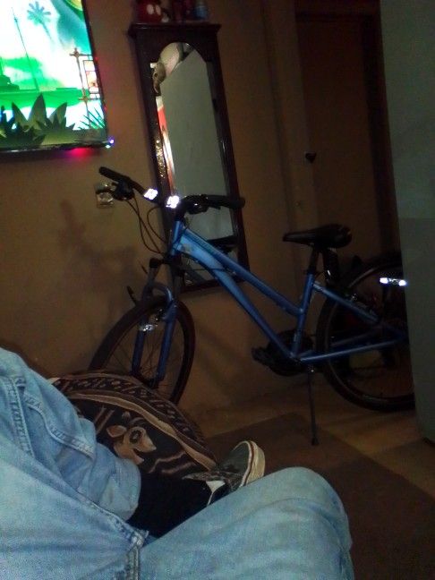 Schwinn Trailway 7Speed