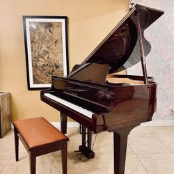 Baby Grand Piano 