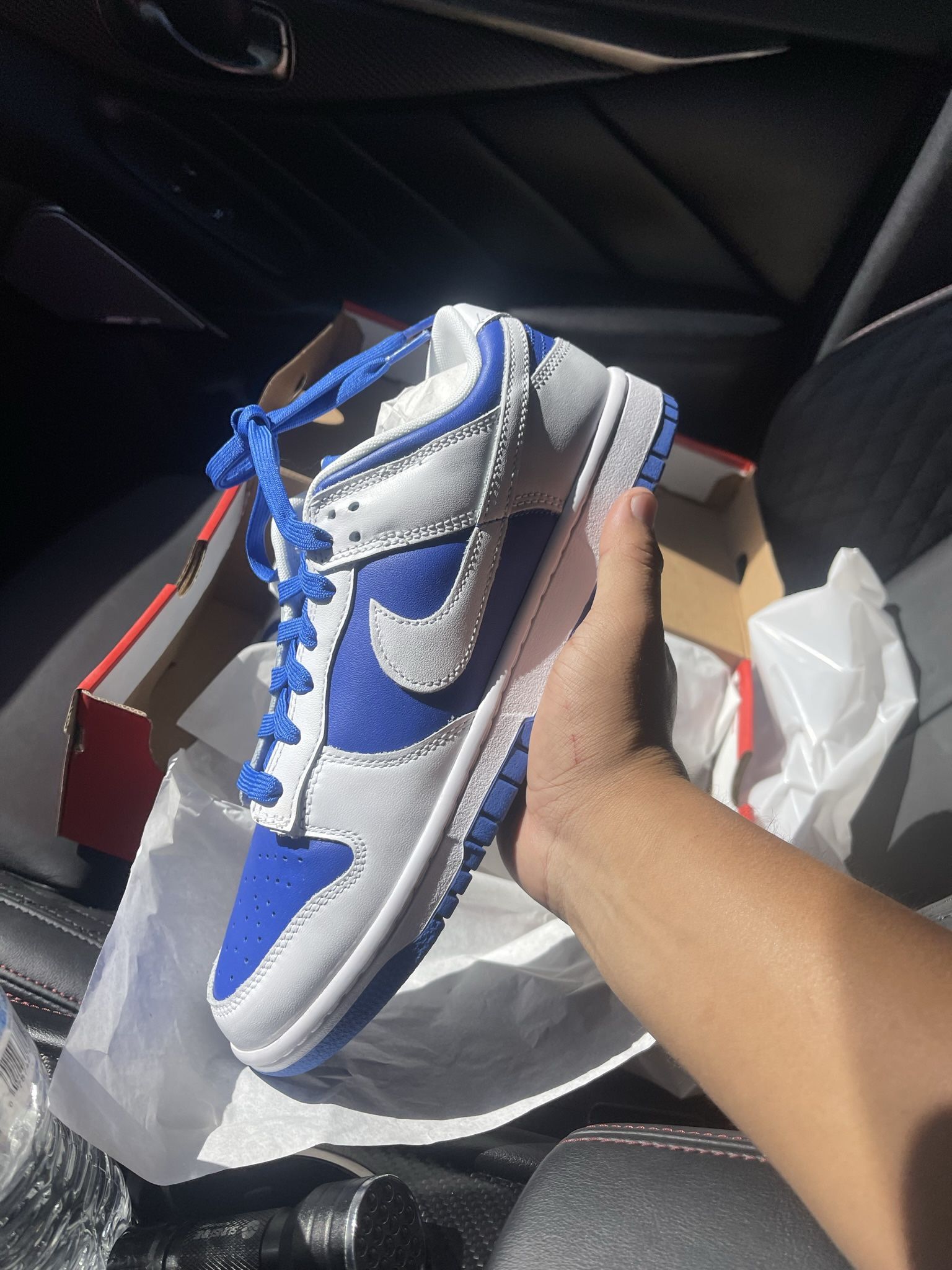 Racer Blue Dunk