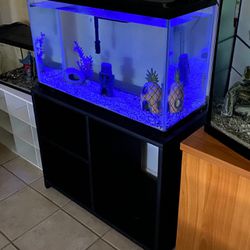 30 Gallon Aquarium + Premium Wood Tank Stand And More