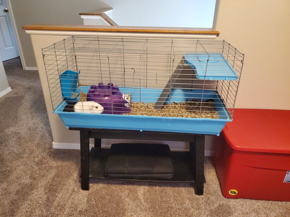 Guinea pig cage