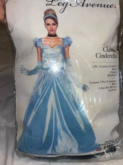 Cinderella costume adult