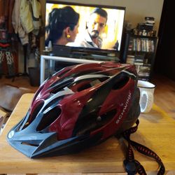 Adult Schwinn Bike Helmet