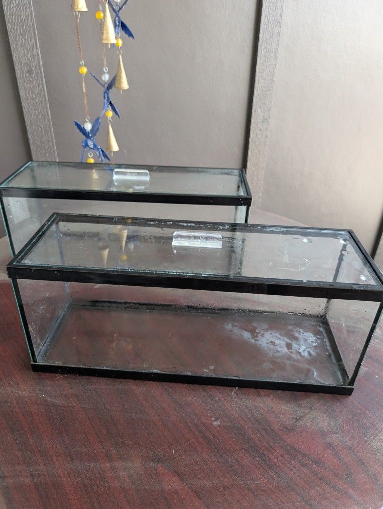 Aquarium Masters 2.3 Gal Glass Aquariums