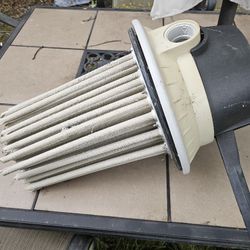 Price Is Firm.. Haywood Nest With Fingers EC50