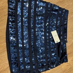 Express  Skirt Size Xs 