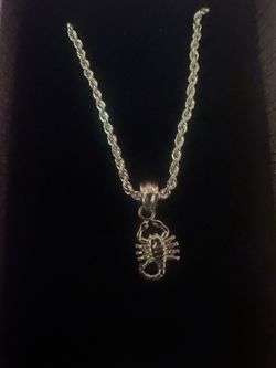Chain  and scorpion pendant