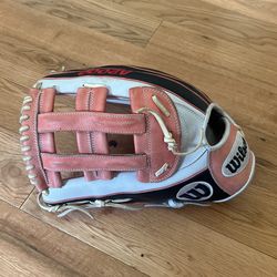 A2000’s and Rawlings Pro Preferred gloves For Sale!