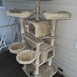 Cat Play House