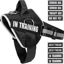 3 Ring No Pull Dog Harness
