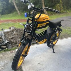 Brand new Long Range Fat Tire E-bike