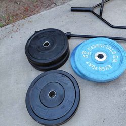 Bumper plates Olympic weights
