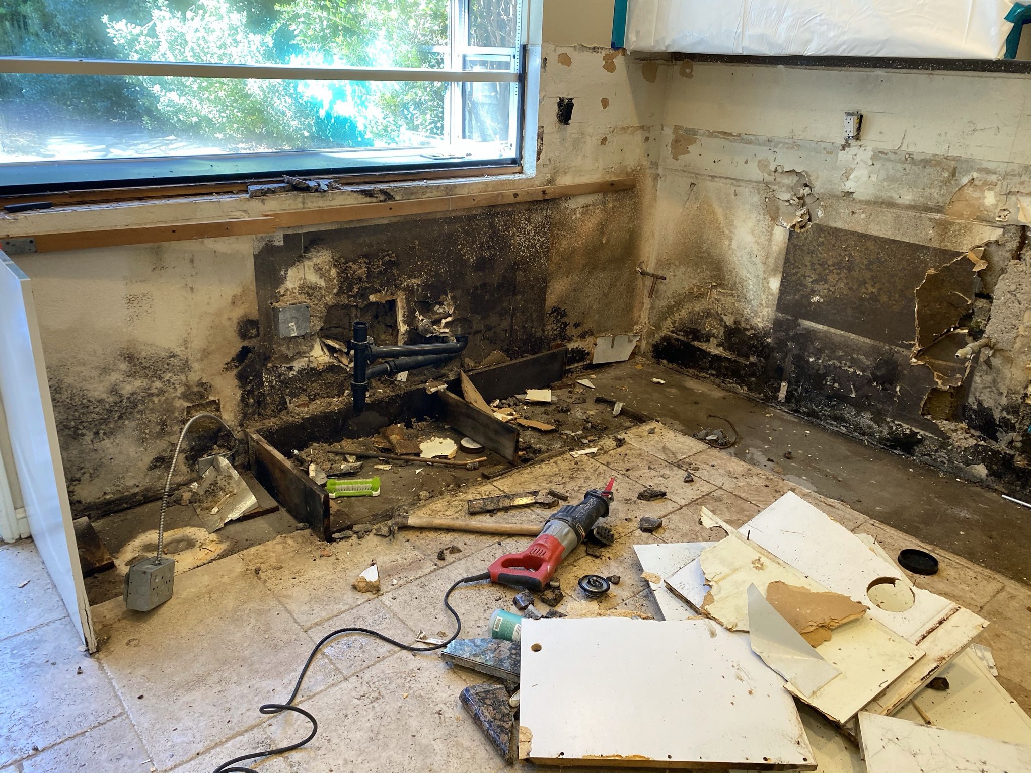 MOLD REMEDIATION / ASBESTOS CLEANUP