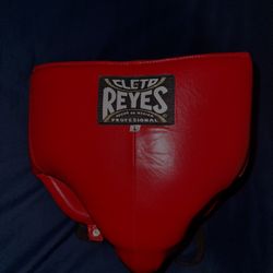 Cleto Reyes Kidney And Foul Protection Cup Size Large 