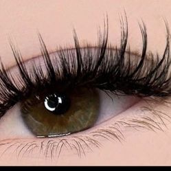 Lash Extensions 
