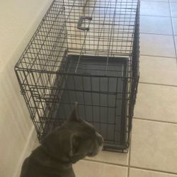 Medium Dog Crate 