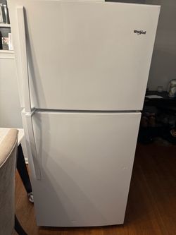 World pool Refrigerator