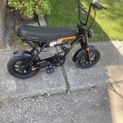 Schwinn Hurricane E-bike